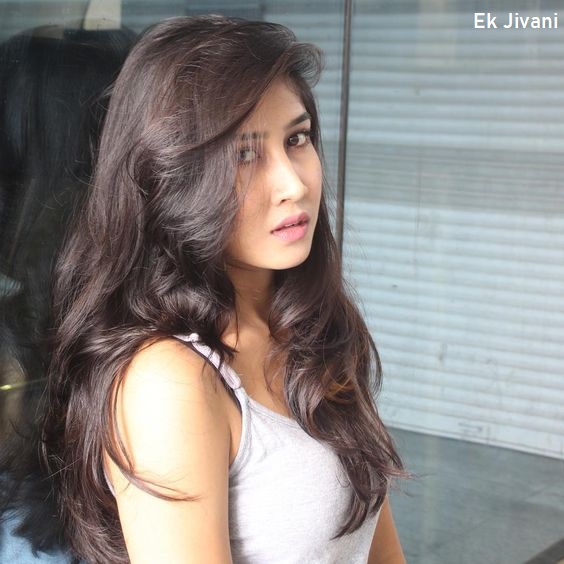 Sofia Ansari Biography in Hindi